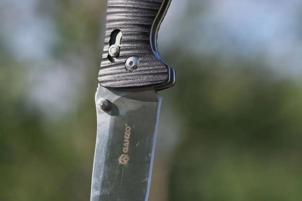 Ganzo F720 Black Classic Folding Pocket Lock Knife Ganzo