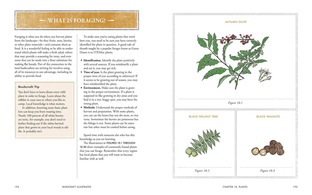 Bushcraft Illustrated : A Visual Guide Book Sgt Prepper Shop