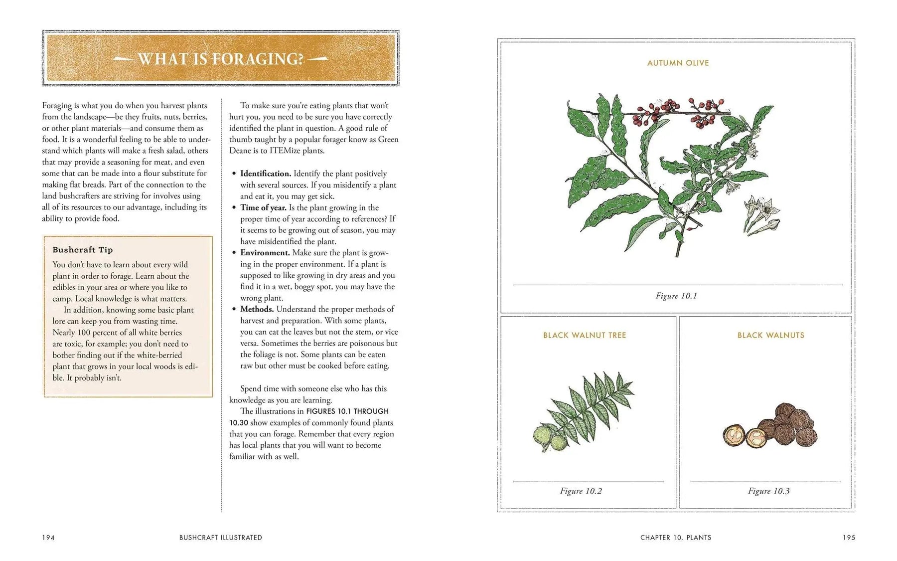 Bushcraft Illustrated : A Visual Guide Book Sgt Prepper Shop