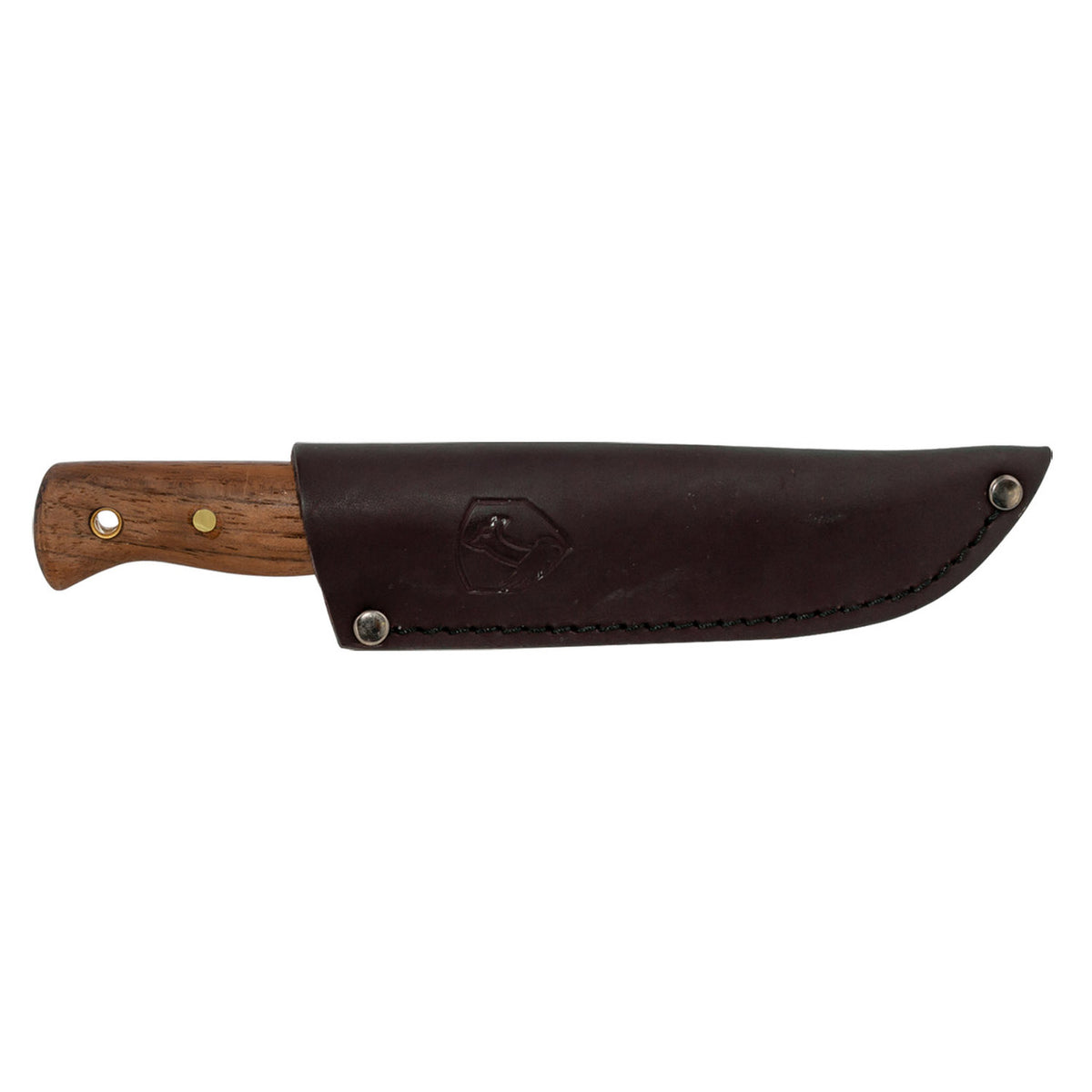 Condor Bushlore Fixed Blade
