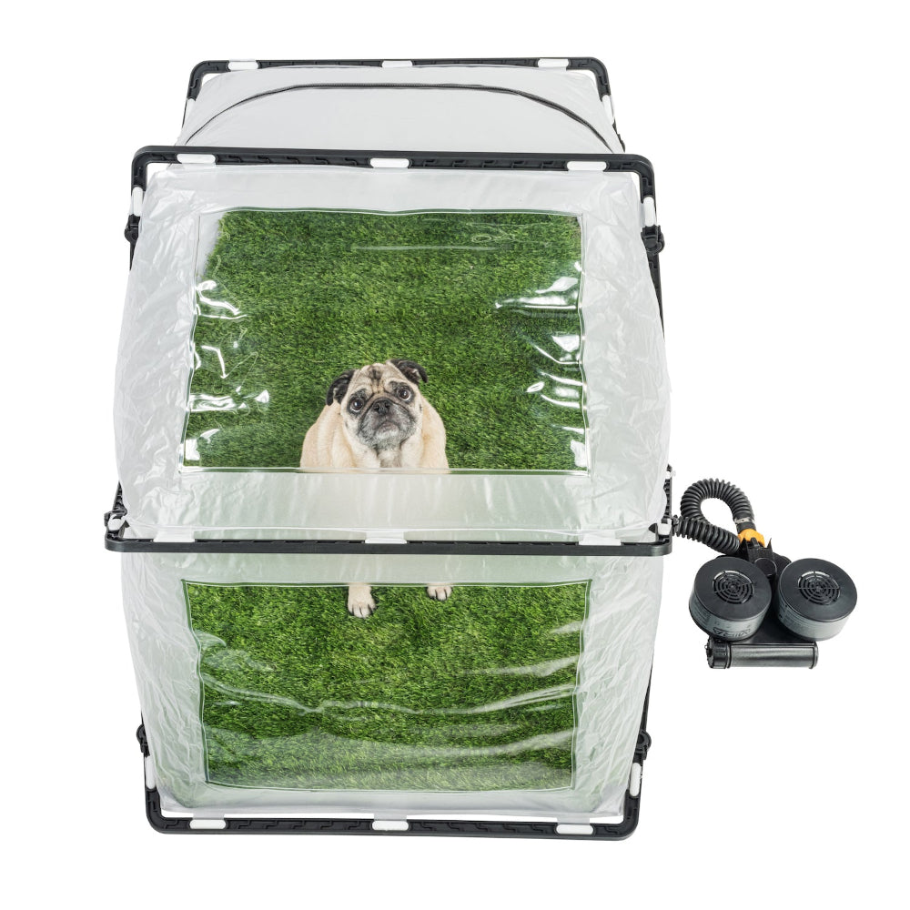 MIRA Safety First Breed Collapsible CBRN Animal Ark Dog Gas Mask (Standard Kit)