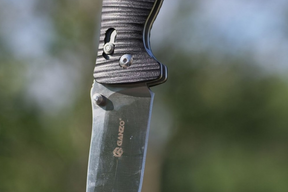 Ganzo G720 Black Classic Folding Pocket Lock Knife